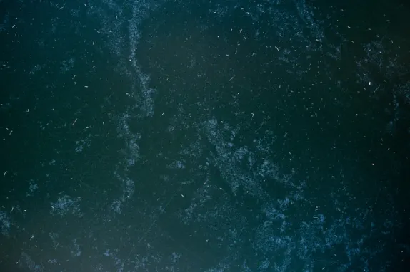 Tournaverse Casino Supporto